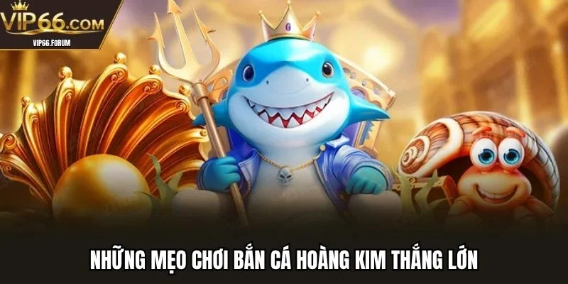 Những mẹo chơi bắn cá hoàng kim thắng lớn