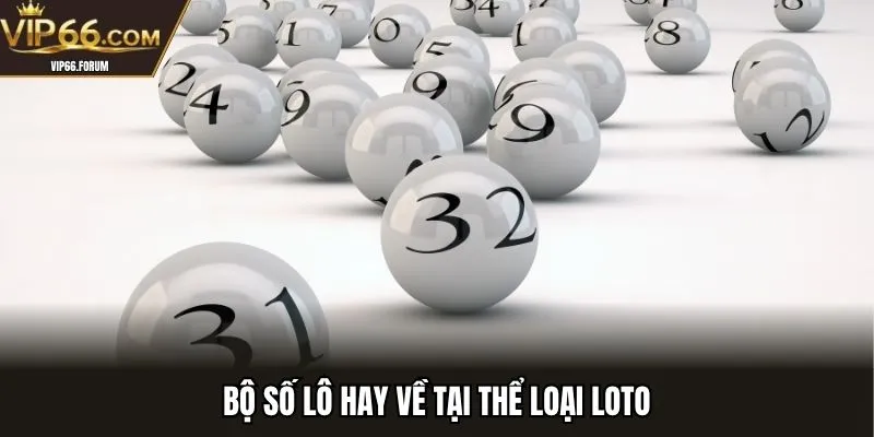 Bộ số lô hay về tại thể loại loto