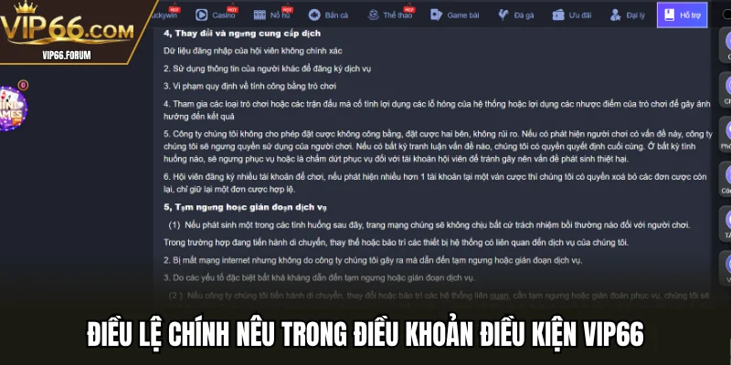 Điều lệ chính nêu trong điều khoản điều kiện VIP66