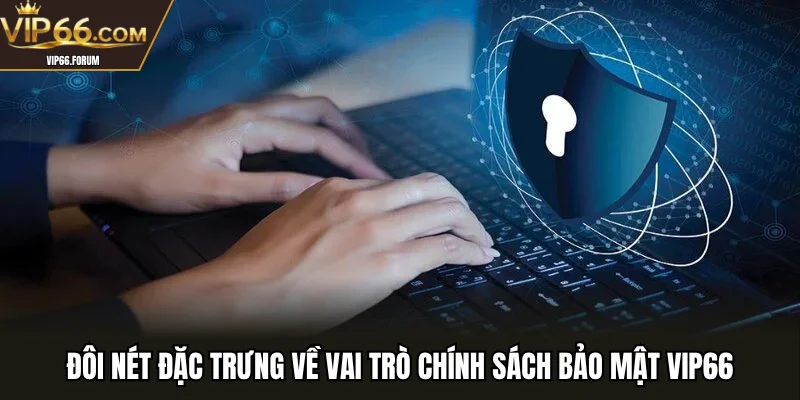 Đôi nét đặc trưng về vai trò chính sách bảo mật VIP66