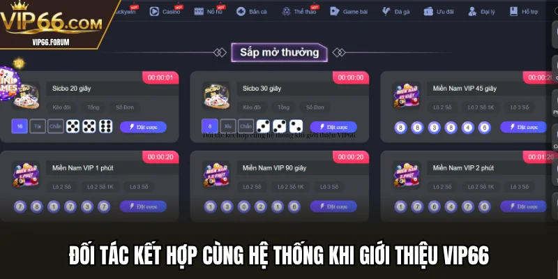 Đối tác kết hợp cùng hệ thống khi giới thiệu VIP66