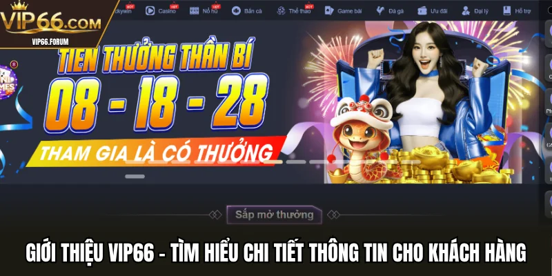 Giới thiệu VIP66 - Tìm hiểu chi tiết thông tin cho khách hàng