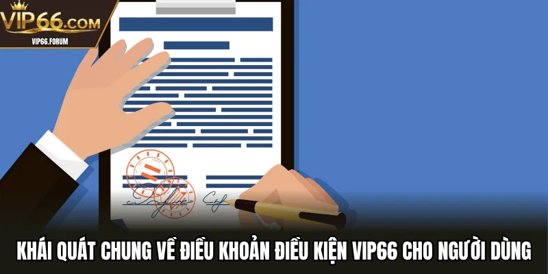 Khái quát chung về điều khoản điều kiện VIP66 cho người dùng
