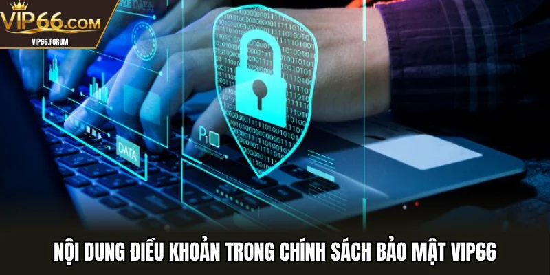 Nội dung điều khoản trong chính sách bảo mật VIP66